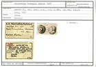 Karteikarte zum Syntyp von Discorbina badensis Karrer, 1877
